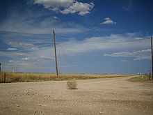 220px-Tumbleweed_rolling.jpg