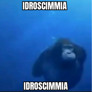 Idroscimmia