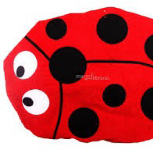 coccinella63